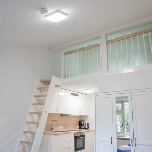 Brunsholm 05 mit Spitzboden