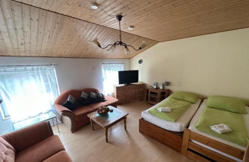 Wohn- und Schlafzimmer